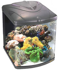 Boyu TL-550 Acuario de Arrecife